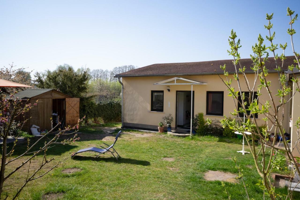 Ferienwohnung Sonnenblume Himmelpfort Pian ภายนอก รูปภาพ