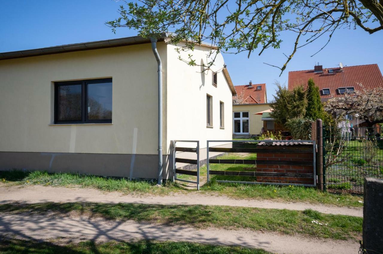 Ferienwohnung Sonnenblume Himmelpfort Pian ภายนอก รูปภาพ